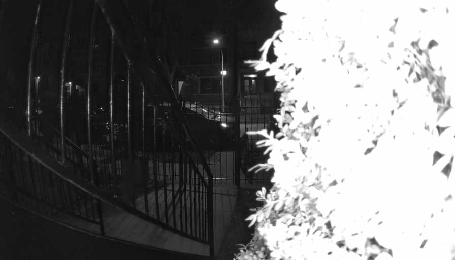 Reolink Camera Two_01_Reolink Home Hub One_20250302032304.jpg